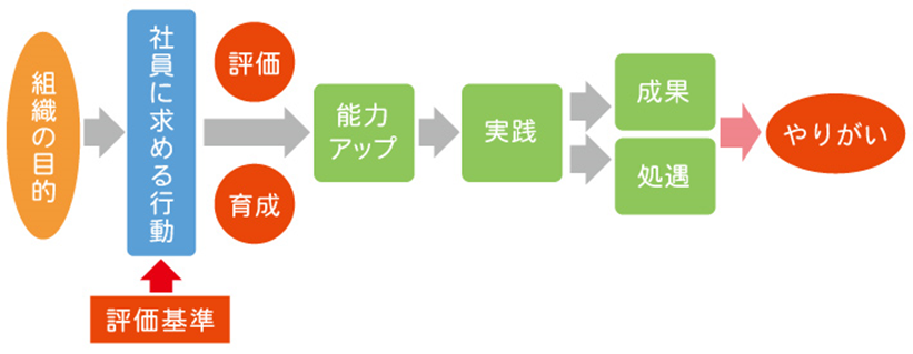 育成と評価の連動